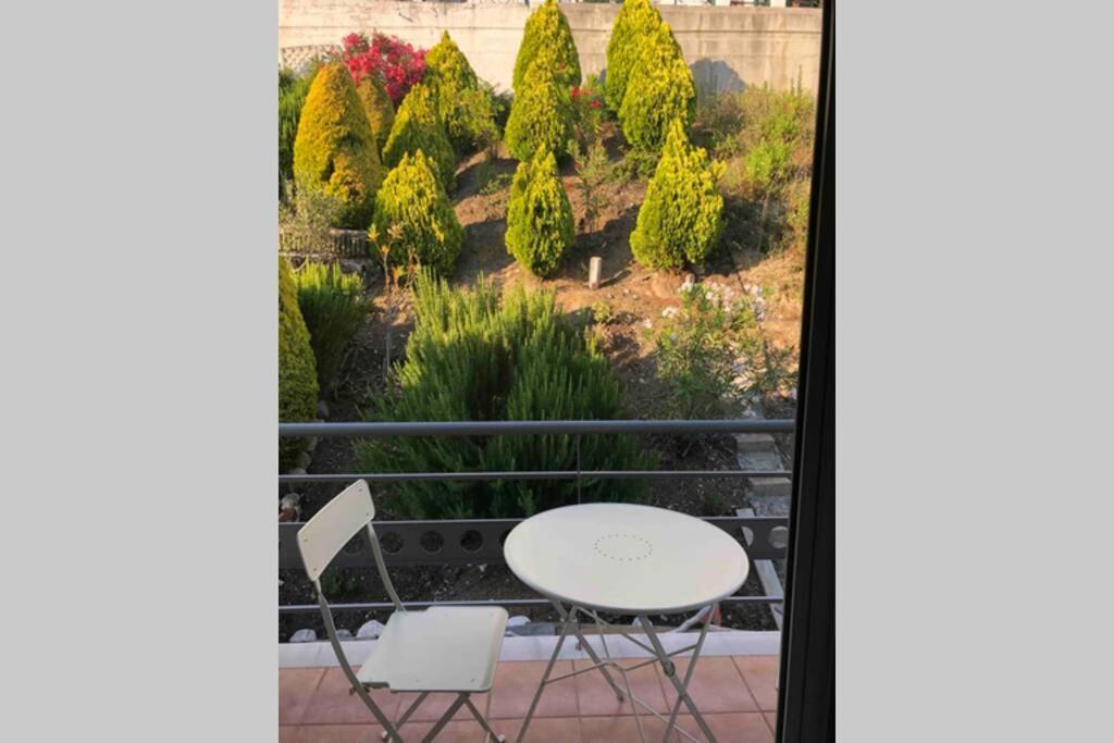 Seafront Lovely House - Kat'S Rentals Loútsa エクステリア 写真